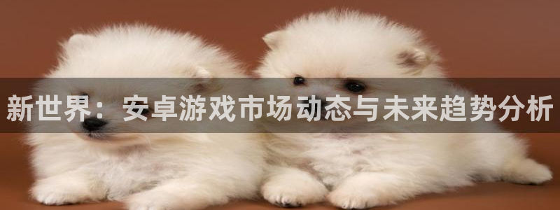 天美娱乐4招商：新世界：安卓游戏市场动态与未来趋势分析