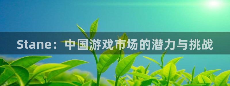 天美娱乐注册测速：Stane：中国游戏市场的潜力与挑战