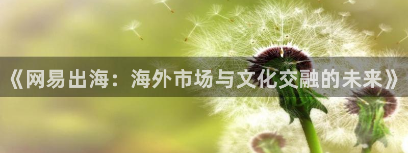 天美娱乐登陆测速：《网易出海：海外市场与文化交融的未来》