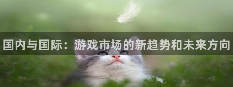 天美娱乐4主管：国内与国际：游戏市场的新趋势和未来方向