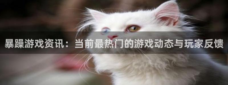 天美娱乐平台登录：暴躁游戏资讯：当前最热门的游戏动态与玩家反