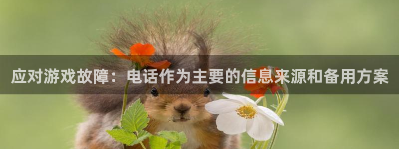 天美娱乐注册账号：应对游戏故障：电话作为主要的信息来源和备用
