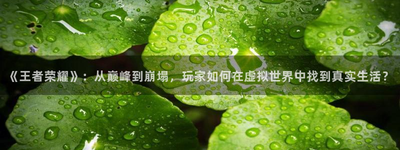天美娱乐网页登录入口下载：《王者荣耀》：从巅峰到崩塌，玩家如