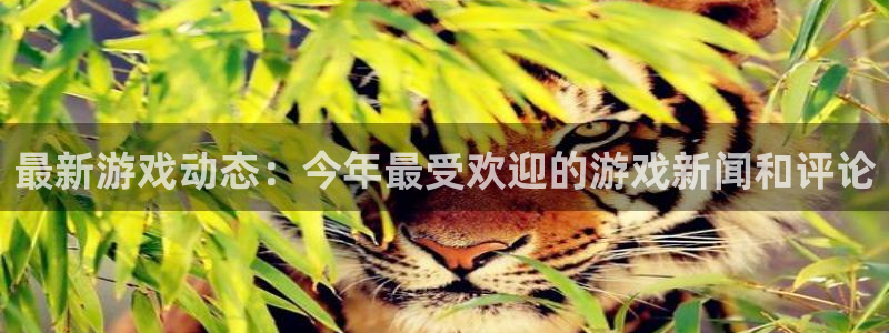 天美娱乐官网登录：最新游戏动态：今年最受欢迎的游戏新闻和评论