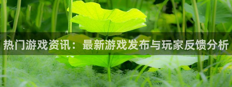 天美娱乐下载链接：热门游戏资讯：最新游戏发布与玩家反馈分析