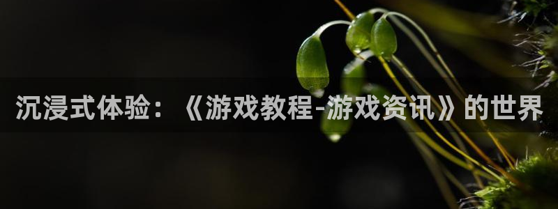 天美娱乐登陆测速：沉浸式体验：《游戏教程-游戏资讯》的世界