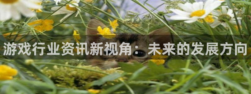 天美娱乐娱乐：游戏行业资讯新视角：未来的发展方向