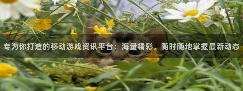 天美娱乐官方平台：专为你打造的移动游戏资讯平台：海量精彩，随