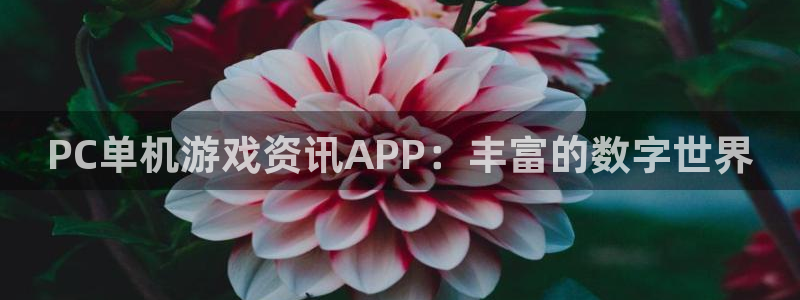 天美娱乐娱乐是真的吗：PC单机游戏资讯APP：丰富的数字世界