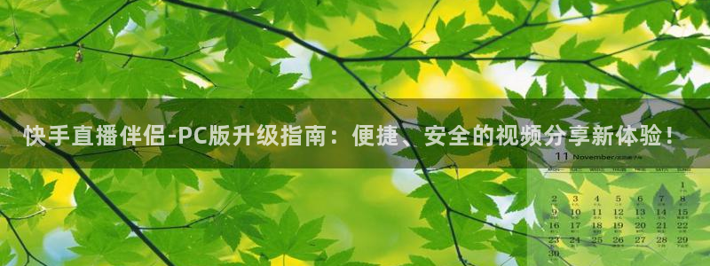 919直播吧体育：快手直播伴侣-PC版升级指南：便捷、安全的视频分享新体验！