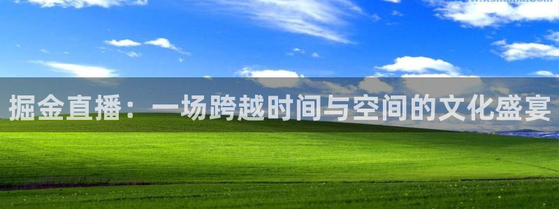 919zb体育直播