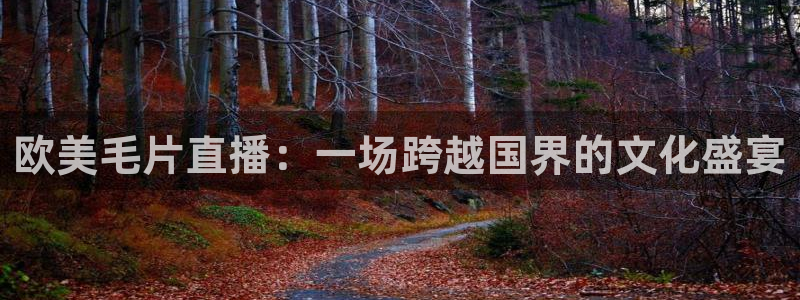 919直播在线看球