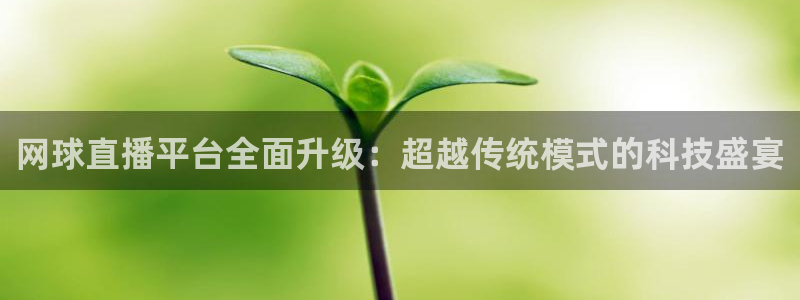919看球直播app：网球直播平台全面升级：超越传统模式的科技盛宴