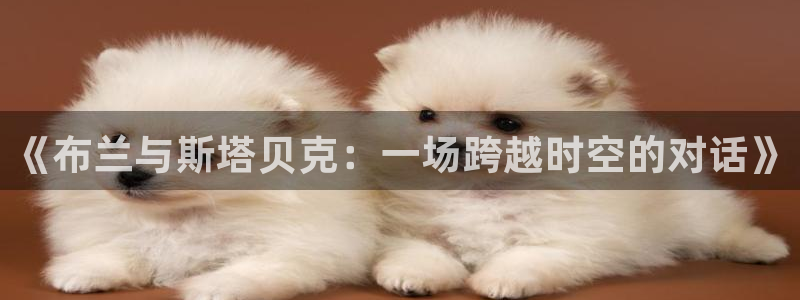 919直播体育在线直播在线看：《布兰与斯塔贝克：一场跨越时空的对话》