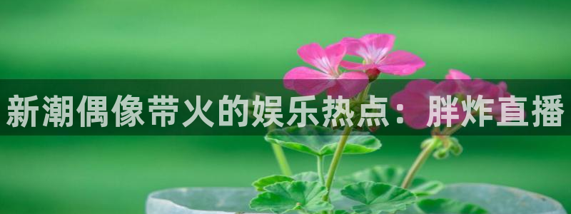 919体育直播app：新潮偶像带火的娱乐热点：胖炸直播