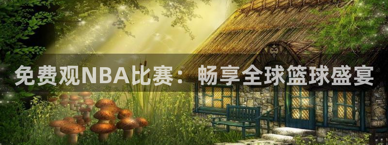 919zb体育直播：免费观NBA比赛：畅享全球篮球盛宴