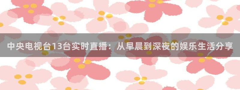 919直播看球 篮球比赛：中央电视台13台实时直播：从早晨到深夜的娱乐生活分享