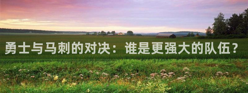 919体育直播app：勇士与马刺的对决：谁是更强大的队伍？