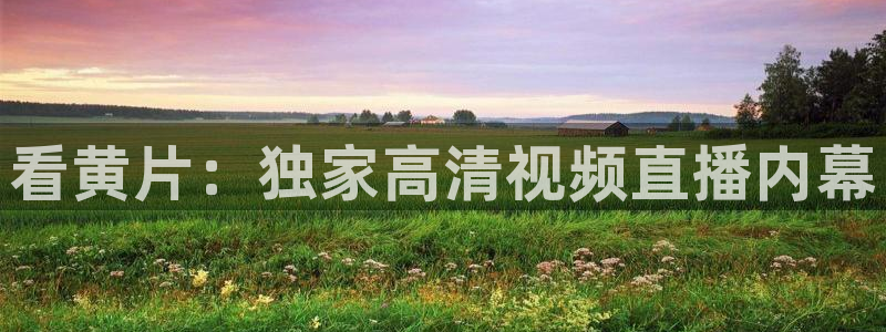 919直播间：看黄片：独家高清视频直播内幕