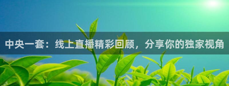 919看球直播nba：中央一套：线上直播精彩回顾，分享你的独家视角