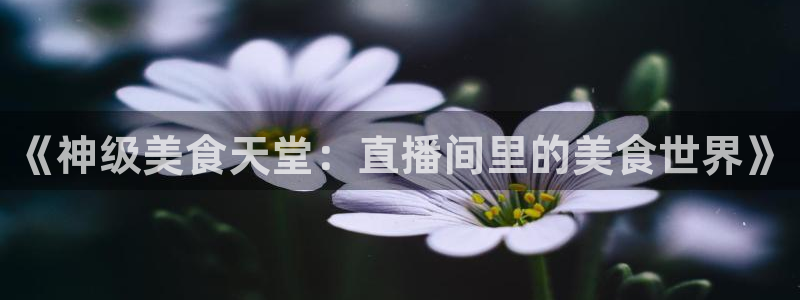 919直播看球app：《神级美食天堂：直播间里的美食世界》