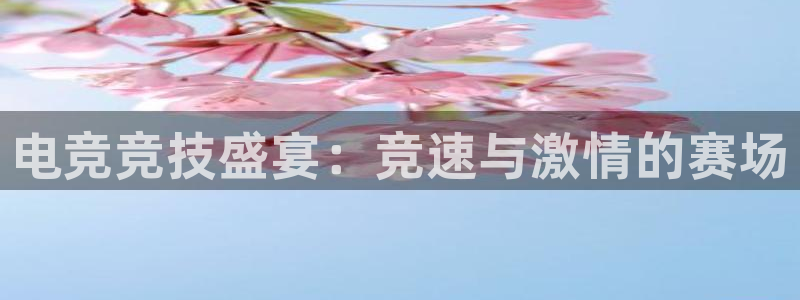 919看球直播app：电竞竞技盛宴：竞速与激情的赛场